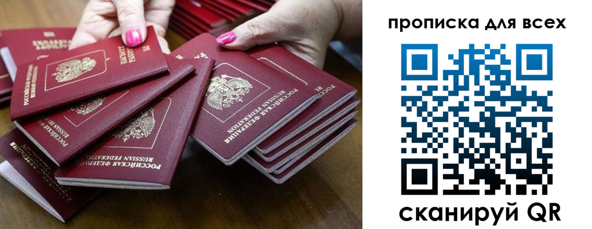 прописка гарантия в Ржеве